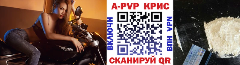 Альфа ПВП СК КРИС  закладка  Трубчевск 