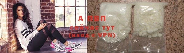 ECSTASY Осинники