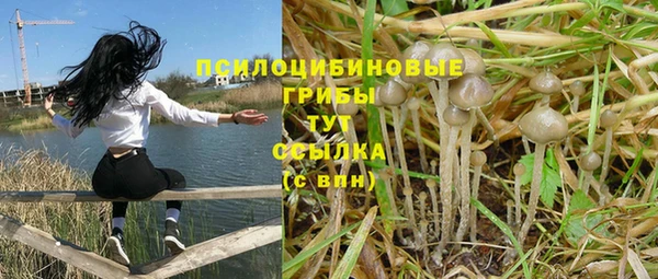 трава Грязовец
