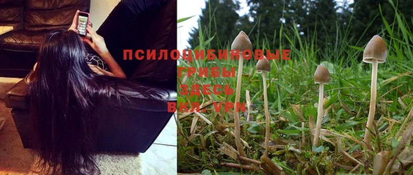 марки nbome Пестово