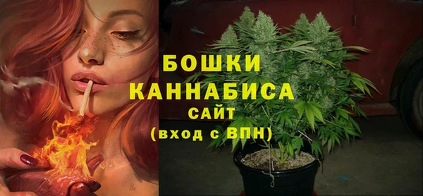 ECSTASY Осинники
