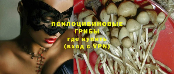mdma Пересвет