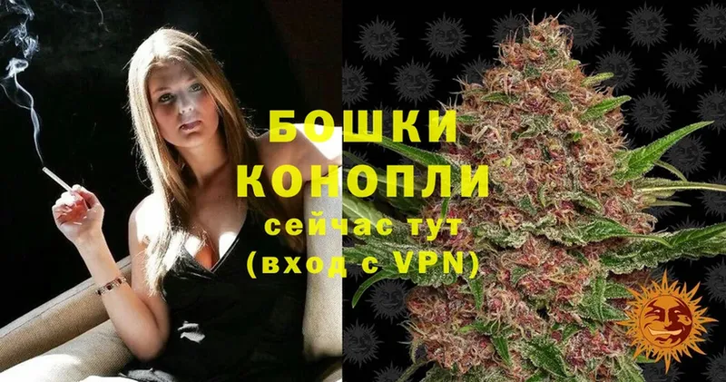 наркошоп  Трубчевск  Бошки Шишки OG Kush 